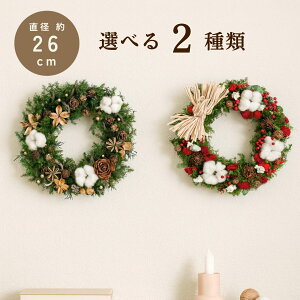 NX}X [X hCt[ v[g auXmas[XMv a26cm Iׂ2 ȍ lC  i` CeA  j j JXj Vzj 