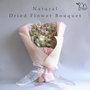 hCt[ ԑ XbO u[P v[g a j j JXj Vzj ut[E\v CeA lC  i` Ǌ| Mtg 킢