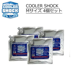 COOLER SHOCK N[[VbN MTCY ۗ  ACXpbN 5Zbg ͕ۗpbN N[[{bNXp ۗpbN WF -7 ԗp ėp\ ×pZp Ⓚ