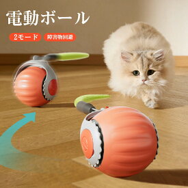 電動ボール 猫用 自動ボール おもちゃ 玩具 シリコン ペット用 自動ボール ストレス解消 光るボール 自動ボール typeC充電式 障害物回避 ボール電動ボール ペット玩具 ストレス発散 猫じゃらし 自動回転 留守番 一人遊び 電動ボール 知育玩具 肥満解消 ボール 光る