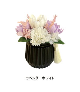 A \[vt[ ~G[ f N[  t[ ΂  AW t[ V{t[ d ͂Ȃ  ފ   ~ ~ @ l\  