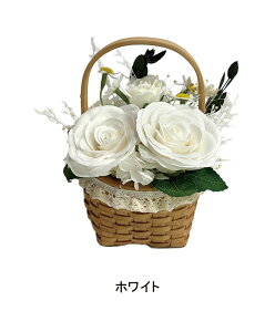 A \[vt[ Vyg A pjG  t[ ΂  AW t[ V{t[ d ͂Ȃ  ފ   ~ ~ @  l\ 