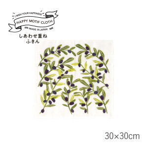 FUJIEIihj nbs[`[t 킹d˂ӂ 30cm ӂ z @ ` ᒠn 100 Lb`NX Lb`^I  킢 @ Lb` Hpӂ _