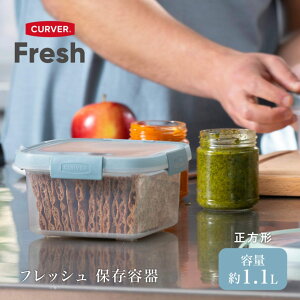 FUJIEIihj CURVER Flesh ۑe ` 1.1L t[hRei t[hL[p[ ① Ⓚۑ\ H@Ή dqWΉ ①ɐ `Rꂵɂ t[hXgbJ[ e GR Xgb