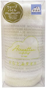 t@ubN {^I Ƃԃ^I qGA[tB[OrEF[uoX^I CG[ kC牫 ܂œ{SAB VvfUC ɍזȎ {