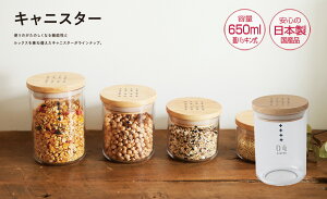 TAKENAKAi|j Eh LjX^[ L[p[ L 650ml LjX^[ R[q[     Ⓚۑ\ ۑe  vX`bN ۑeEXgbJ[  R[q[ 