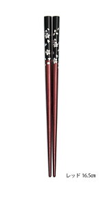 y݌Ɍz X  16.5cm Jg[ [֑Ή H@s VR h ãCXgt { EJg[ El̋ZዷĥŎgނƖoĂ