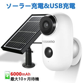 楽天市場 防水 カメラ 使い捨ての通販