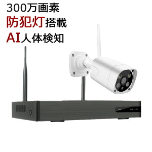 10%OFFN[| hƃJ hƓt ŐVAIľm CX 300f 8CH s[^[@\ ȒP Smart IRIoߓxh~ 掿 IP66hho H.265+k uĎ ^