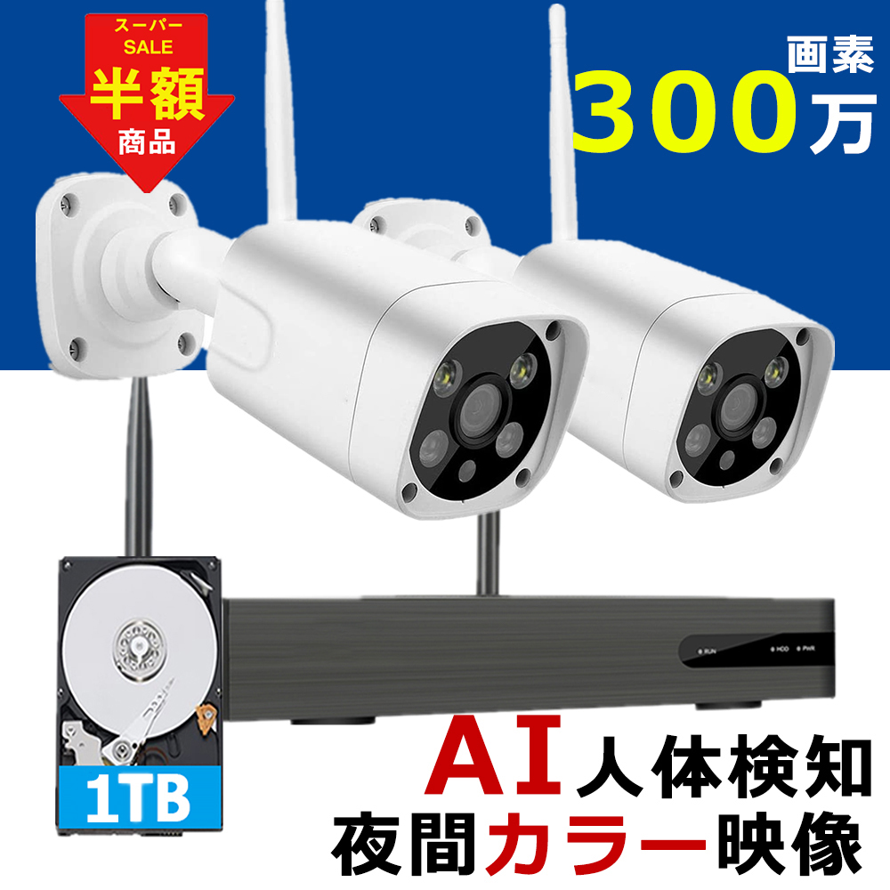 楽天市場】【54%OFF☆スーパーセール】最新AI人体検知搭載 防犯カメラ