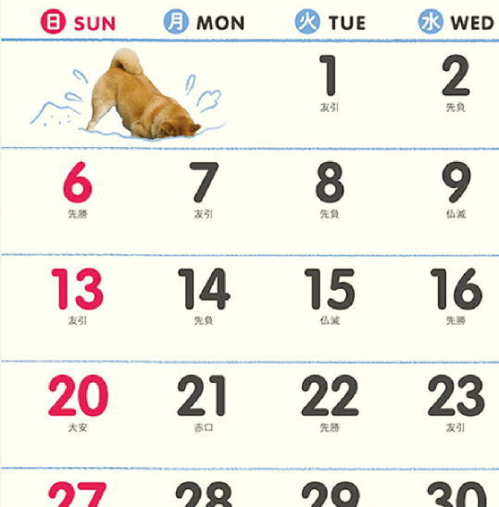柴犬まるとおさんぽ　　　　　　　　　　　　　　2024年度　卓上カレンダー
