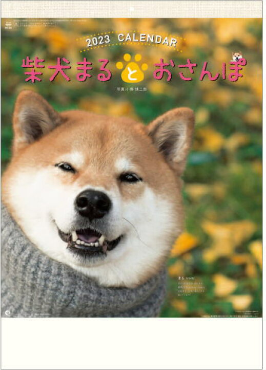 楽天市場 柴犬まるとおさんぽカレンダー 23年 カレンダー カレンダー23 令和5年 壁掛けカレンダー 犬カレンダー 在庫有 即発送 達人のギフト屋さん 楽天市場 柴犬まるとおさんぽカレンダー 23年 カレンダー カレンダー23 令和5年 壁掛けカレンダー 犬カレンダー 在庫有 即発送 達人のギフト屋さん