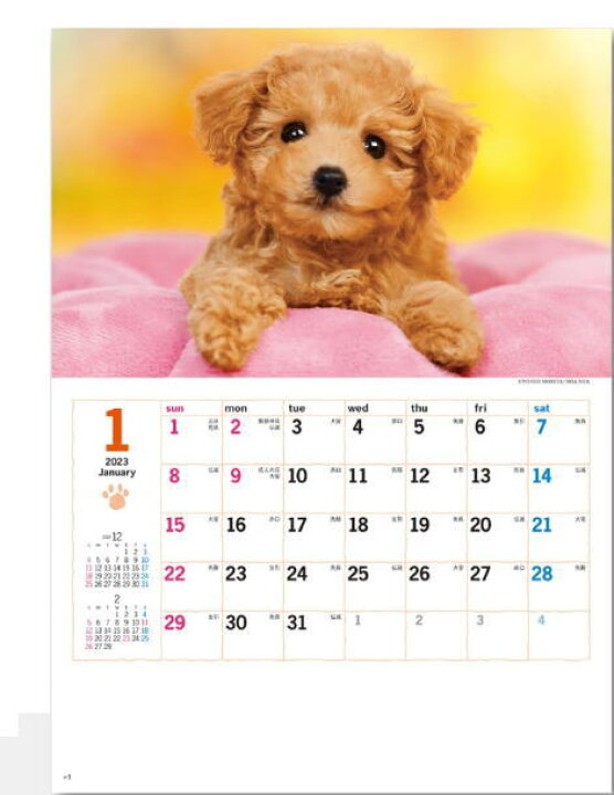 楽天市場 カレンダー 23 壁掛け 犬 小 コンパクトサイズカレンダー 23年カレンダー 令和5年 壁掛けカレンダー 犬カレンダー 達人のギフト屋さん