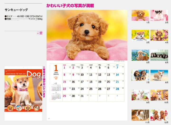 楽天市場 カレンダー 23 壁掛け 犬 小 コンパクトサイズカレンダー 23年カレンダー 令和5年 壁掛けカレンダー 犬カレンダー 達人のギフト屋さん 楽天市場 カレンダー 23 壁掛け 犬 小 コンパクトサイズカレンダー 23年カレンダー 令和5年 壁掛けカレンダー 犬カレンダー 達人のギフト屋さん