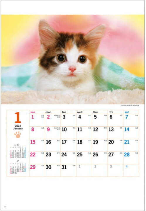 楽天市場 カレンダー 23 壁掛け 猫 サンキューキャット コンパクトサイズカレンダー 23年カレンダー 令和5年 壁掛けカレンダー ねこ ネコ 猫カレンダー 達人のギフト屋さん