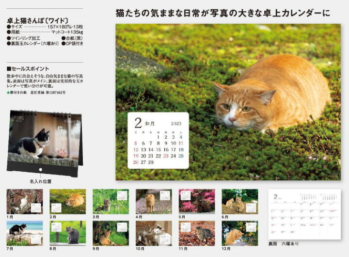 楽天市場 カレンダー 卓上 23 猫 ねこ ネコ 猫さんぽ 卓上カレンダー ワイド 15 7 18cm 自然な猫の姿がかわいい 達人のギフト屋さん
