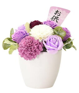 V{t[@\[vt[ 䋟  p[vn Ԋt ys-201-purplez\[vt[  Mtg i Q d  @ @v T   䋟 ~ ފ r