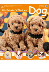 ߘa8N@2026N @Ǌ| J_[ ʐ^ @@TL[hbO@RpNgTCY@J_[ @Ǌ|J_[@J_[@@CeA@߃TCY@50ȏŊ