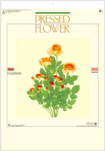 J_[@2026@Ǌ|@vXt[@@ԃJ_[@2026NJ_[ @ߘa8NJ_[@@Ǌ|J_[@J_[ 2026 Ǌ|@傫TCỸJ_[