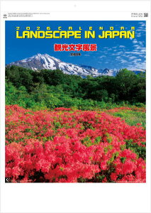 J_[ 2026 Ǌ| i { i@ όi@12@J_[@2026NJ_[ ߘa8N@Ǌ|J_[@iJ_[@傫₷