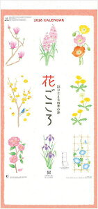 3J_[@2026@Ԃ `ʂ肻lG̉ԁ`i3j ߘa8NJ_[@J_[ 2026 Ǌ|@yZԂɐSnTCY揤iz