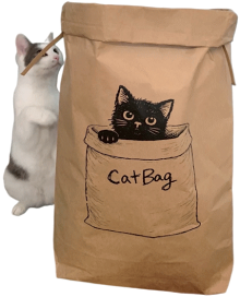 楽天市場】【送料無料】王様印 常滑焼 三匹猫 招き猫（貯金箱）5号