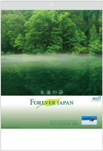 J_[@2026@Ǌ|@R@i@tH[Go[EWp@{iJ_[@RƓ@iɎ肽{̎Ri@12