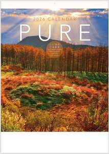 J_[ 2026N Ǌ| PURE SɎc{i NK34 2026N J_[ Ǌ| {i@Ǌ|J_[@ߘa8N