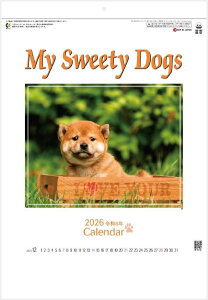 J_[ 2026 Ǌ|  }CXEB[eB[hbO @lC̃RpNgTCYJ_[@Ǌ|J_[  J_[