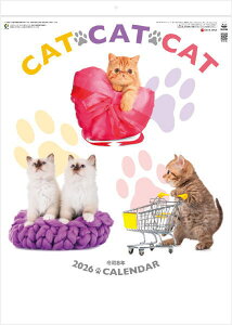 J_[@Ǌ|@L@킢@CATECATECAT@˂@J_[ 2026NJ_[@Ǌ|J_[