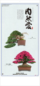 J_[ 2026 Ǌ|@R@~́@唻TCY@J_[@2026NJ_[ @ߘa8NJ_[@J_[2026