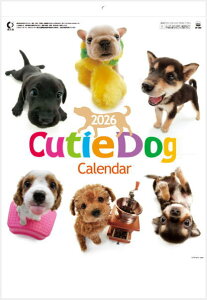 J_[ 2026 Ǌ|@@L[eB[hbO@RpNgTCYJ_[@2026NJ_[@ߘa8N@Ǌ|J_[@ʁ@Ck@45×30.8cm N\t