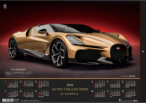 J_[@ԁ@I[gRNV@X|[cJ[J_[@EL{[iW@Ǌ|J_[@2026J_[@ߘa8N@唻TCYJ_[