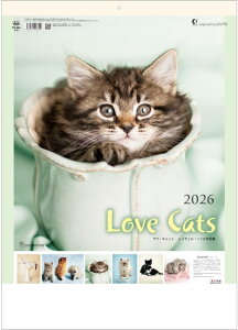 J_[ 2026 Ǌ| L ˂  2026N J_[ Ǌ| Lbg C`FwCiW ʐ^ lR CeA ߘa8N