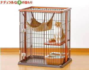 yz{rAR@EbhT[N@Lbg ~j@ 730568 @LbgT[N