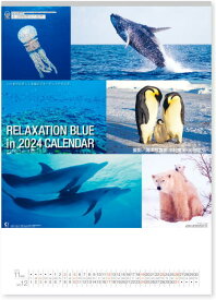 リラクゼーションブルー　カレンダー　2024年 カレンダー カレンダー2024　令和6年　壁掛けカレンダー　海カレンダー