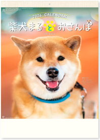 柴犬まるとおさんぽカレンダー 　2024年 カレンダー カレンダー2024　令和6年　壁掛けカレンダー　いぬ　犬カレンダー　12ヶ月