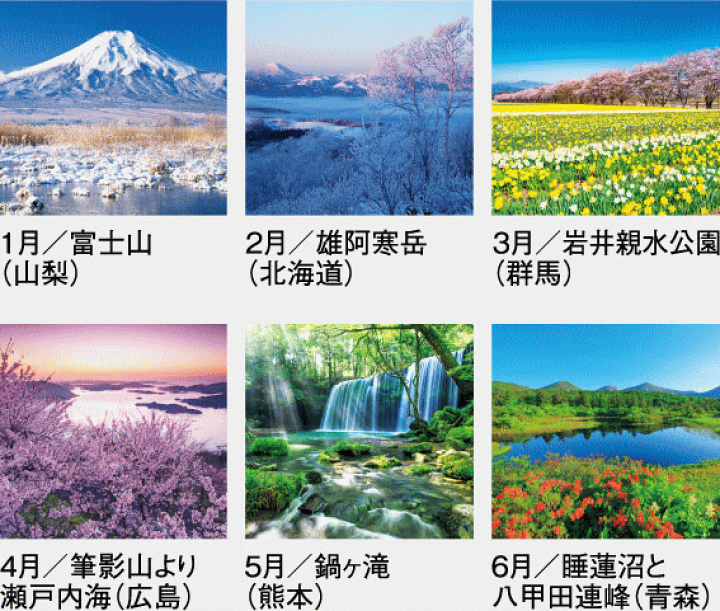 2021FLORALGIFT特大フィルムカレンダー 挿し