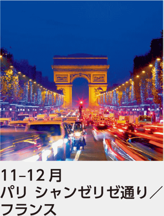 2025年 令和7年 特大壁掛けカレンダー フィルム ワイド