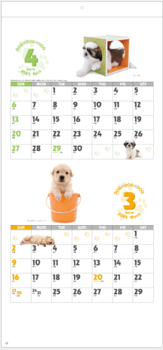 Amazon.com: TF PUBLISHING 2025 Dog Dreams Wall Calendar