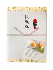 Cj Cj p J^OMtg Ԃ {̑蕨@i܂j R[X @q^(20×27cm)@@p@܁@bZ[WJ[ht@{if i̍