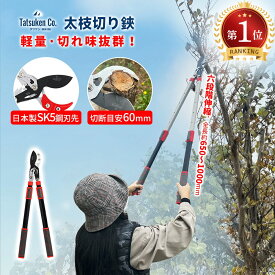 楽天1位「sk5日本製鋼使用！お買い物マラソンポイント5倍」 太枝切り鋏 ラチェット式 超強力 6段階伸縮 6cmまで切断 高枝切 日本製sk5鋼太枝 太枝切ばさみ 剪定ばさみ 軽量 枝切りバサミ 剪定鋏 園芸用品 花鋏 枝切りハサミ 園芸ハサミ はさみ 剪定ハサミ 剪定