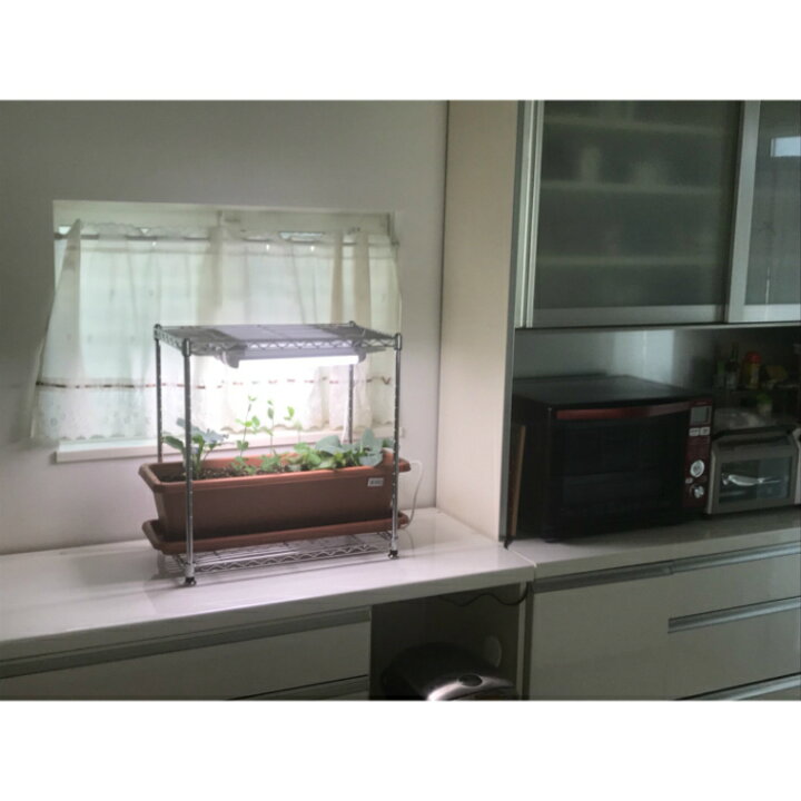 楽天市場】葉物が簡単！ イチゴも育つ！ そだ照るLED蛍光灯キット 植物 