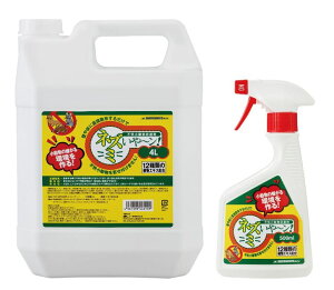 s܁@lY~`IڎUz^Cv@4L 23020066