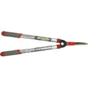 GS@V^A~@GbWtLk 2021L [788-1550] y|pnT~z[2021L]