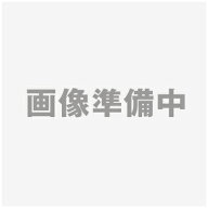 【法人限定：代引き不可】マグネポケット NM-MGPL