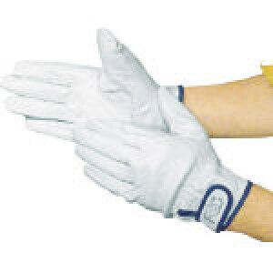 xmO[u@F|805M 5842 [378-7354] ypr܁z[5842]