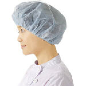 yLbvEیXzpbN@veBJ[LbvzCg (100) PCC-W [PCCW] [422-4230] yی앞z