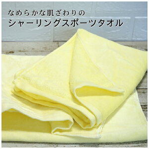 3Set V[O J[ n X|[c^I xgi 40×110cm  Ȃ߂炩ȔG  G肪 \ʂ炳 z  ڂׂ