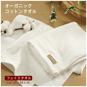X|Cg10{ Ԍ y120Setz I[KjbNtFCX^I 34×86cm  I[KjbNRbg  zCg  100 {[_[ 350 109.5g